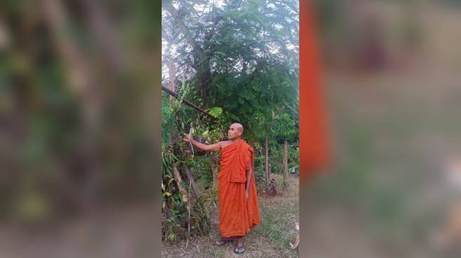 Monk Transforms Margherita Buddha Vihar Into Botanical Paradise - The Hills  Times